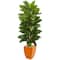 5.5ft. Large Leaf Philodendron Plant in Orange Planter